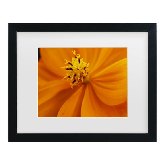 Trademark Fine Art 'Orange Flower' Canvas Art by Kurt Shaffer