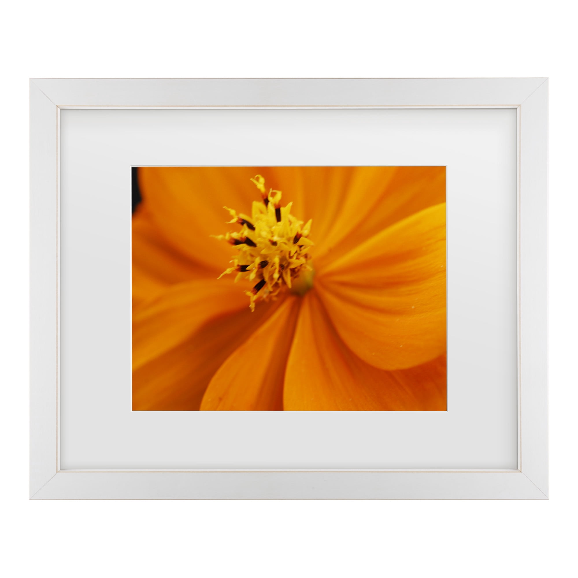 Trademark Fine Art 'Orange Flower' Canvas Art by Kurt Shaffer