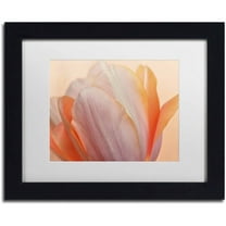 Trademark Fine Art 'Orange Glowing Tulip' Canvas Art by Cora Niele, White Matte, Black Frame