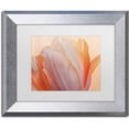 thumbnail image 1 of Trademark Fine Art 'Orange Glowing Tulip' Canvas Art by Cora Niele, White Matte, Silver Frame, 1 of 1