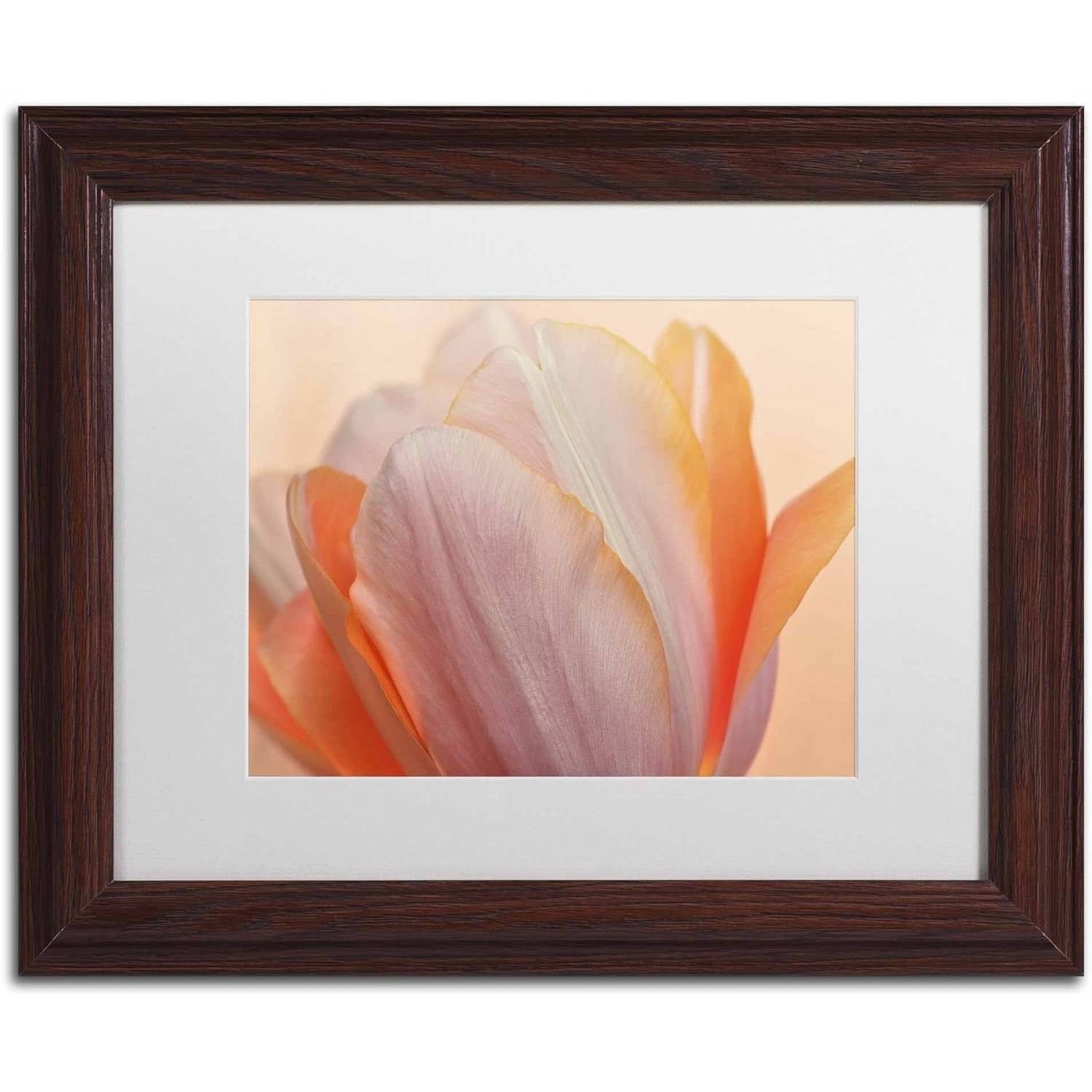 Trademark Fine Art 'Orange Glowing Tulip' Canvas Art by Cora Niele, White Matte, Wood Frame