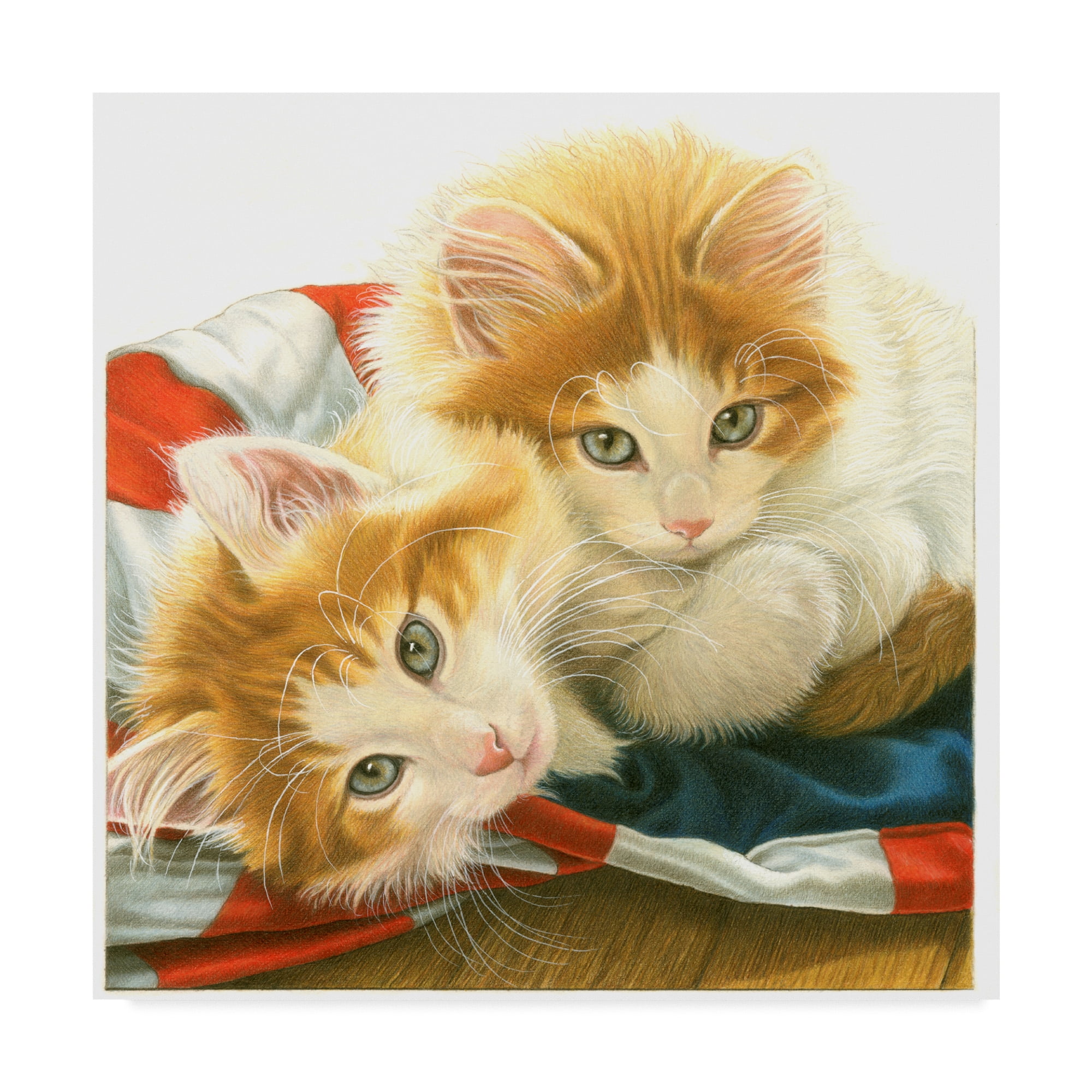 Trademark Fine Art 'Orange Kittens' Canvas Art by Francien Van Westering