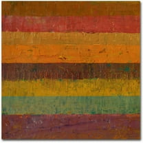 Trademark Fine Art "Orange Line" Canvas Art by Michelle Calkins