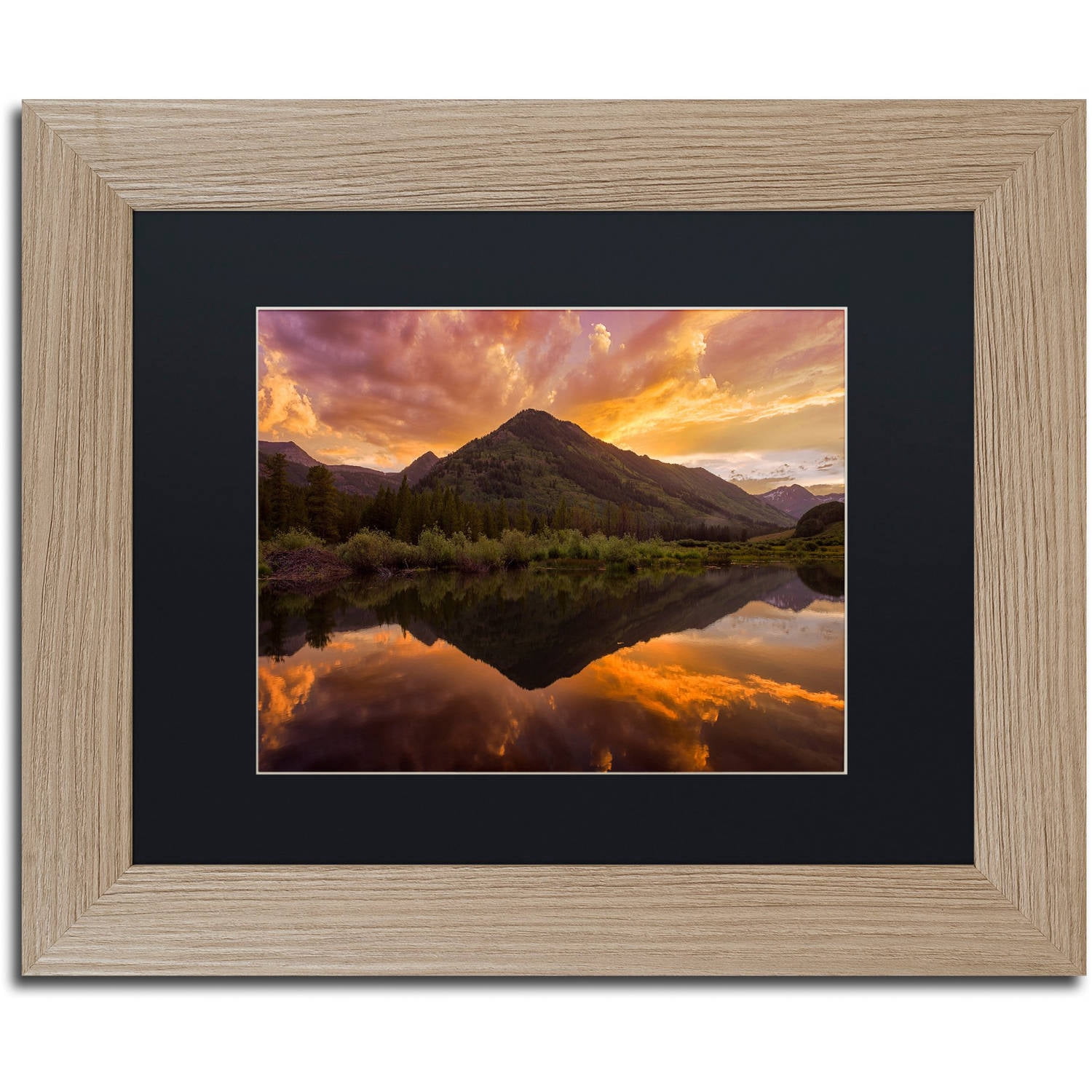 Trademark Fine Art "Orange Majesty" Canvas Art by Michael Blanchette Photography Black Matte, Birch Frame