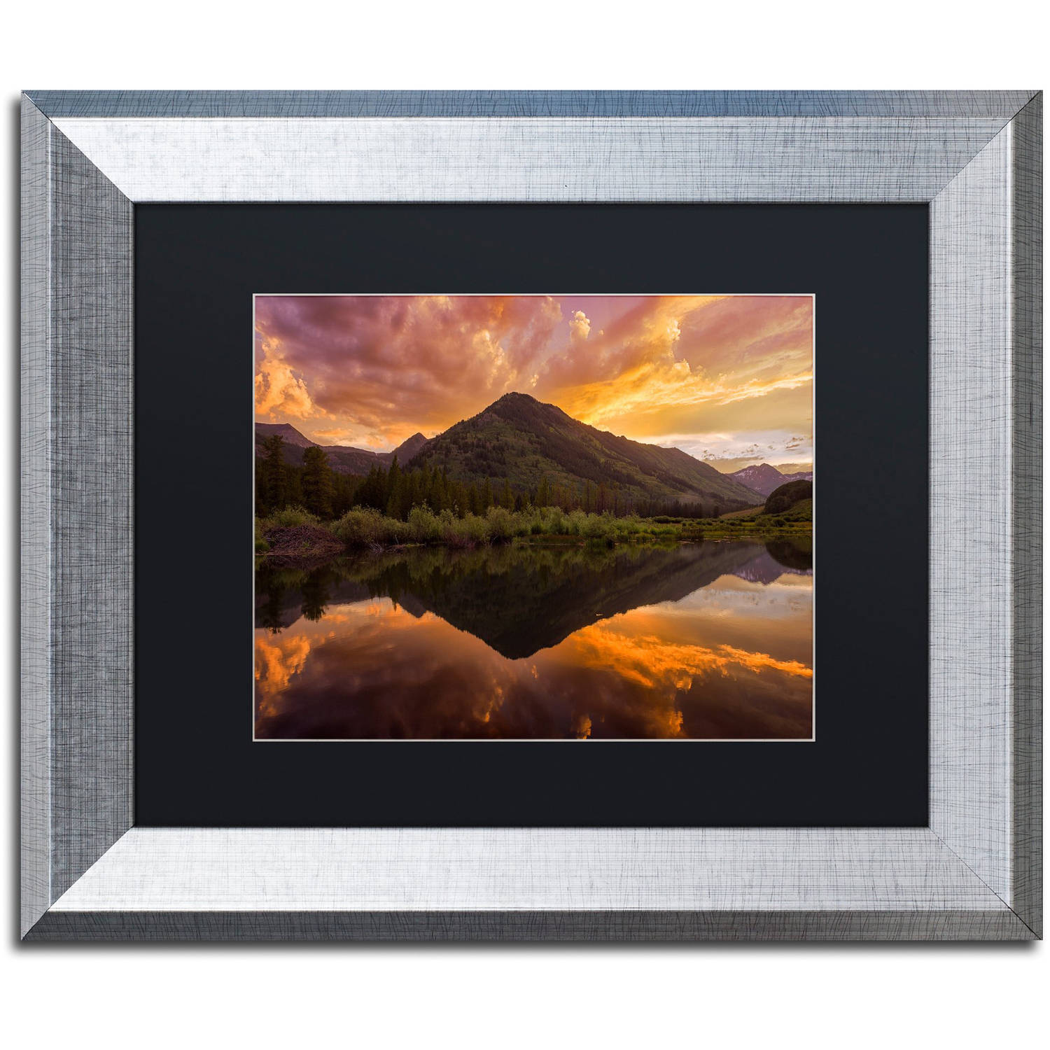 Trademark Fine Art "Orange Majesty" Canvas Art by Michael Blanchette Photography Black Matte, Silver Frame