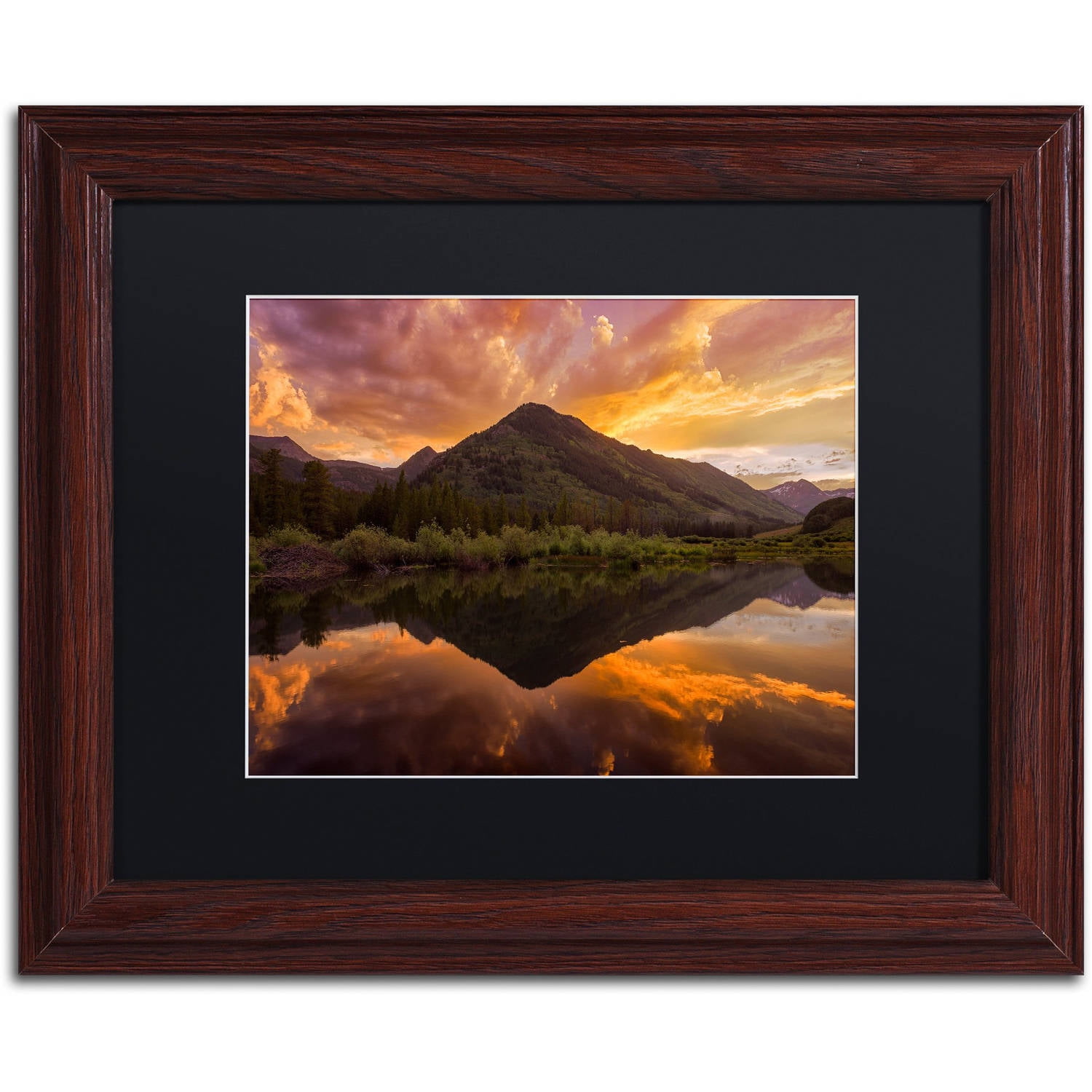 Trademark Fine Art "Orange Majesty" Canvas Art by Michael Blanchette Photography Black Matte, Wood Frame