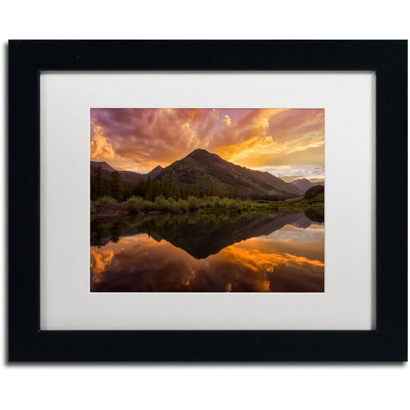 Trademark Fine Art "Orange Majesty" Canvas Art by Michael Blanchette Photography White Matte, Black Frame