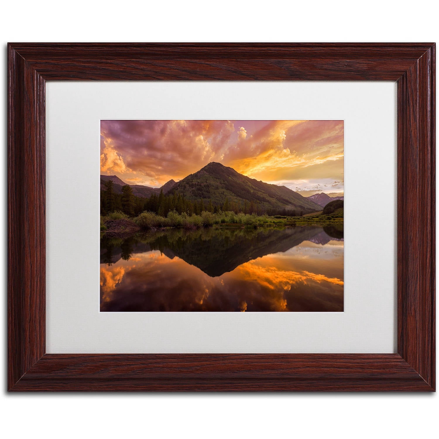 Trademark Fine Art "Orange Majesty" Canvas Art by Michael Blanchette Photography White Matte, Wood Frame