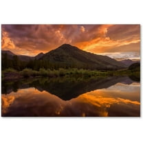 Trademark Fine Art "Orange Majesty" Canvas Art by Michael Blanchette Photography