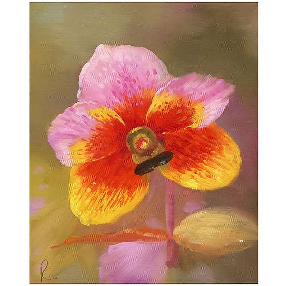 Trademark Fine Art Orange-Pink Orchid' Canvas Art Ready to Hang 18x24 Inches (MA080-C1824GG)
