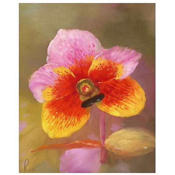 Trademark Fine Art "Orange-Pink Orchid" Canvas Art