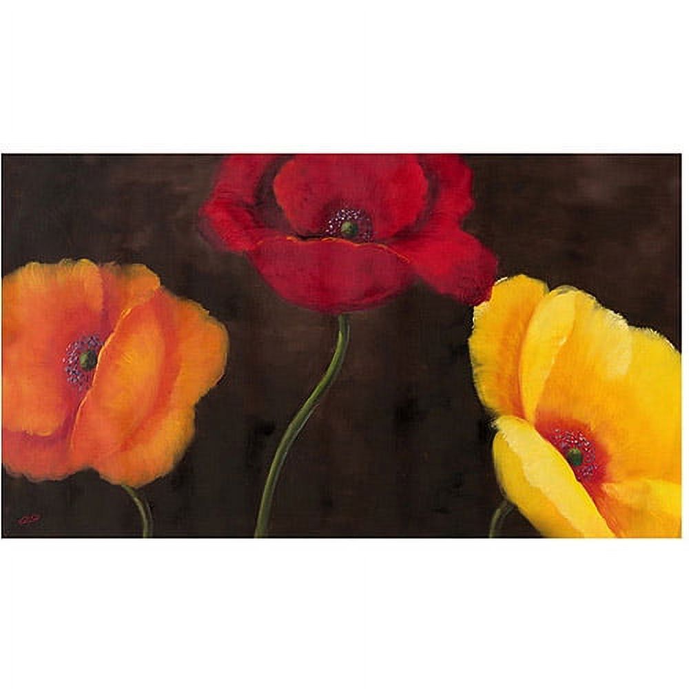Trademark Fine Art "Orange, Red and Yellow" Canvas Wall Art by Rio