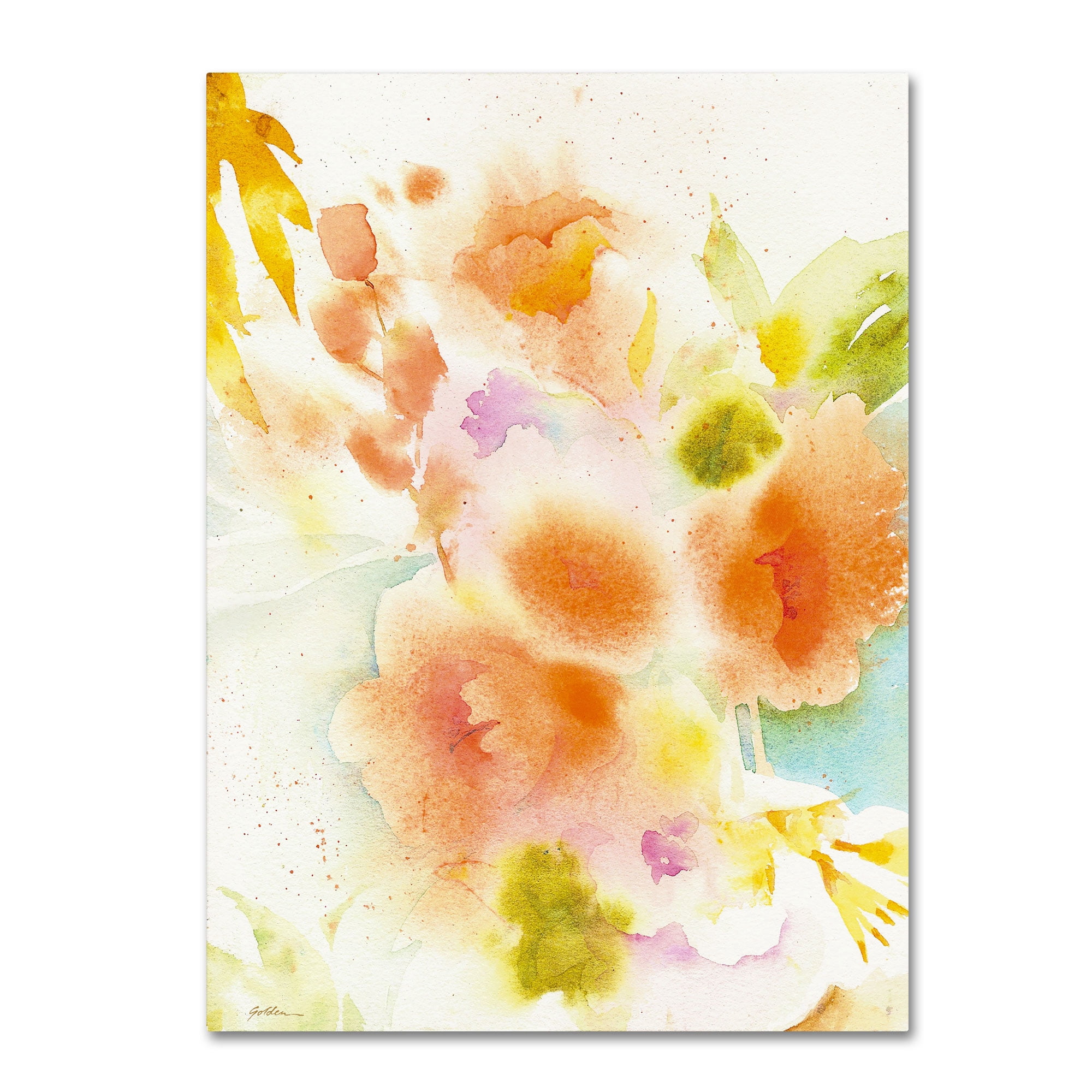 Trademark Fine Art "Orange Reflection" Canvas Art by Sheila Golden