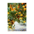 thumbnail image 1 of Trademark Fine Art 'Orange Trees' Canvas Art by Incredi, 1 of 3