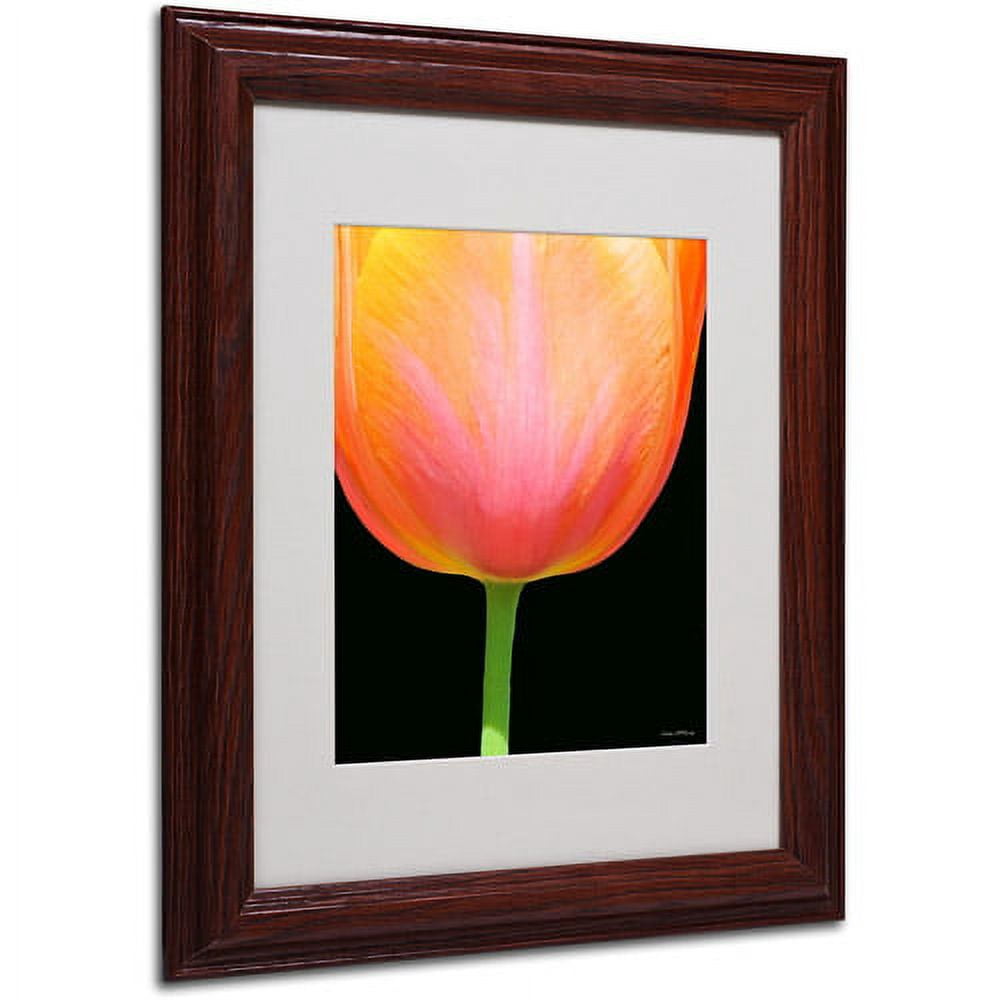 Trademark Fine Art "Orange Tulip" Canvas Art by Kathie McCurdy, Wood Frame