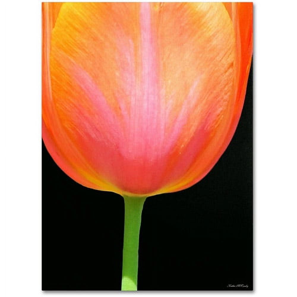 Vibrant Orange Tulip Canvas Art with Black Background