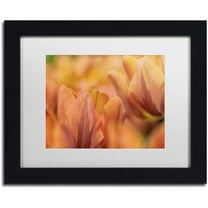 Trademark Fine Art 'Orange Tulips' Canvas Art by Cora Niele, White Matte, Black Frame