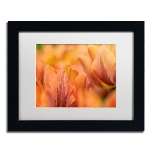 Trademark Fine Art 'Orange Tulips' Canvas Art by Cora Niele, White Matte, Black Frame
