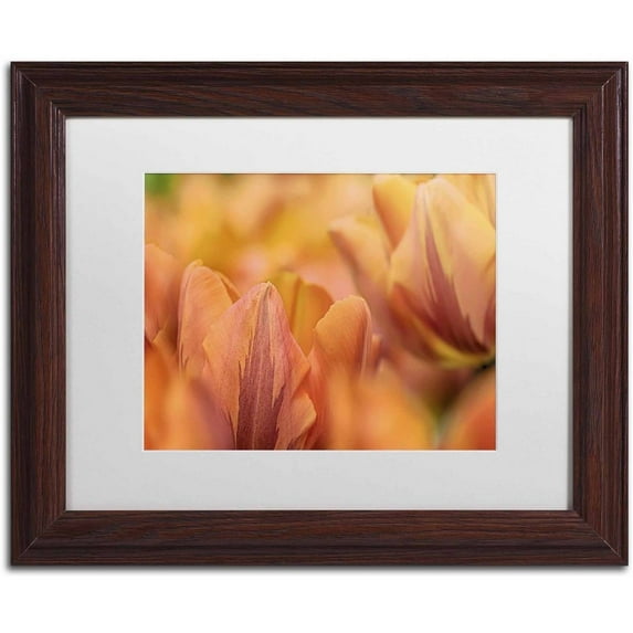 Trademark Fine Art 'Orange Tulips' Canvas Art by Cora Niele, White Matte, Wood Frame