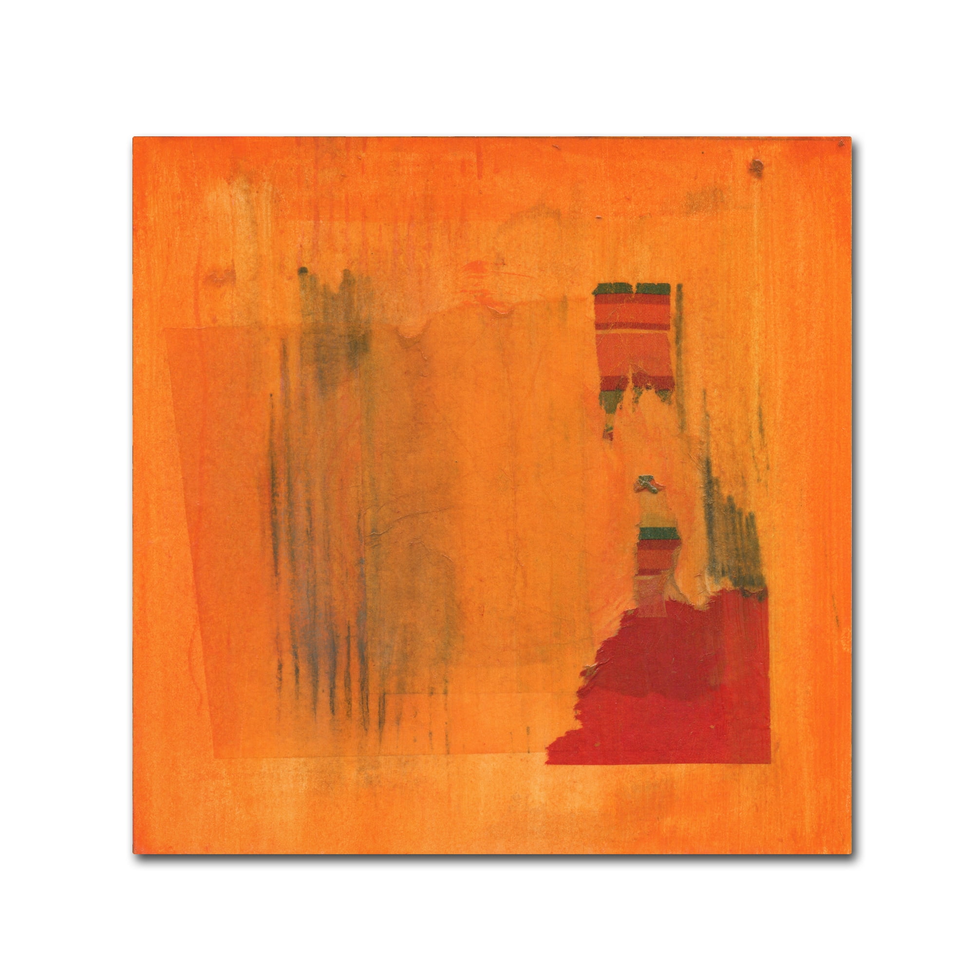 Trademark Fine Art 'Orange Vector' Canvas Art by Anthony Sikich