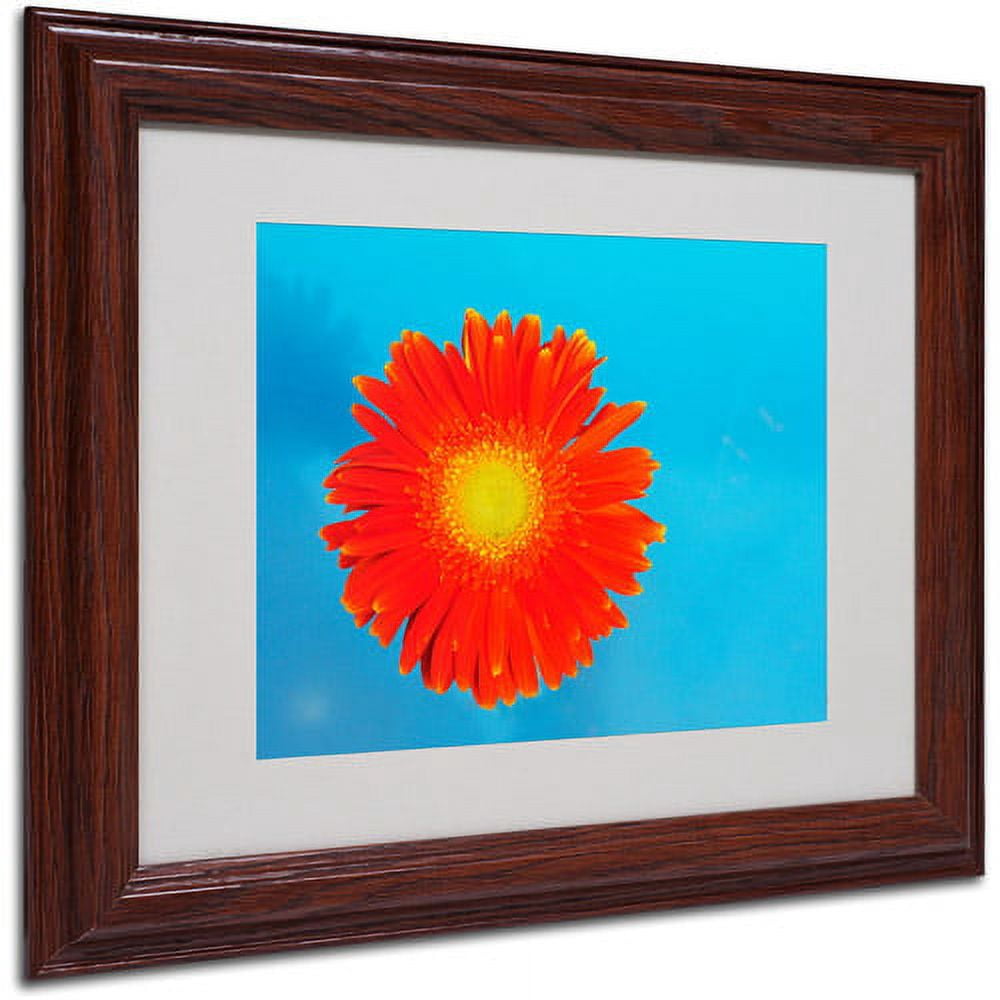 Trademark Fine Art 'Orange and Blue' 16' x 20' Wood Frame Art