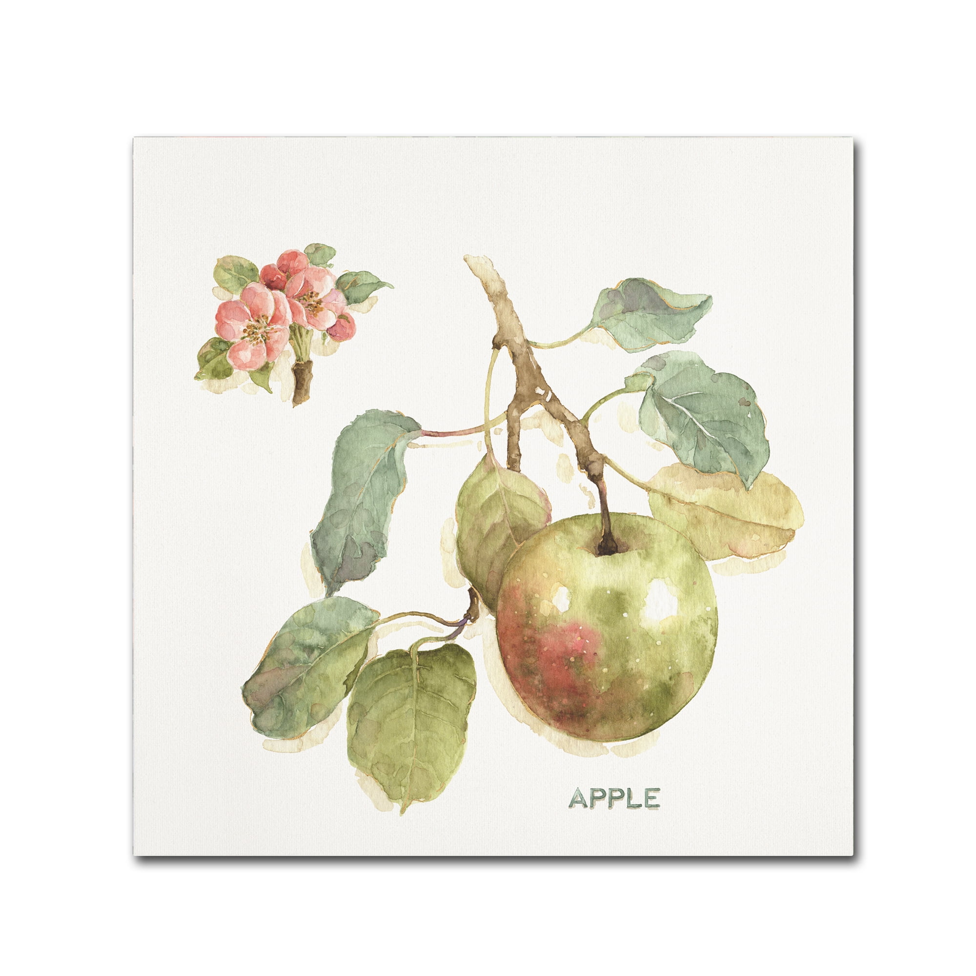 Trademark Fine Art 'Orchard Bloom I' Canvas Art by Lisa Audit