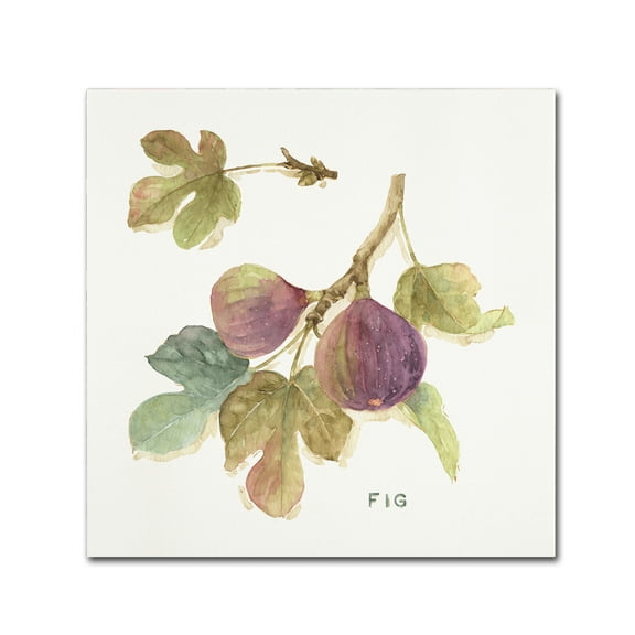 Trademark Fine Art 'Orchard Bloom III' Canvas Art by Lisa Audit