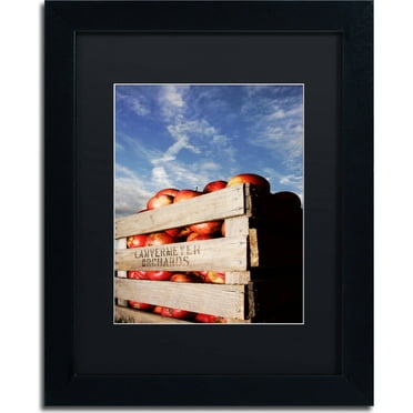 Trademark Fine Art "Orchard" Canvas Art by Jason Shaffer, Black Matte, Black Frame