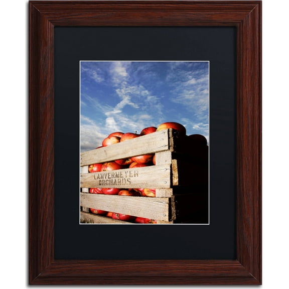 Trademark Fine Art "Orchard" Canvas Art by Jason Shaffer, Black Matte, Wood Frame