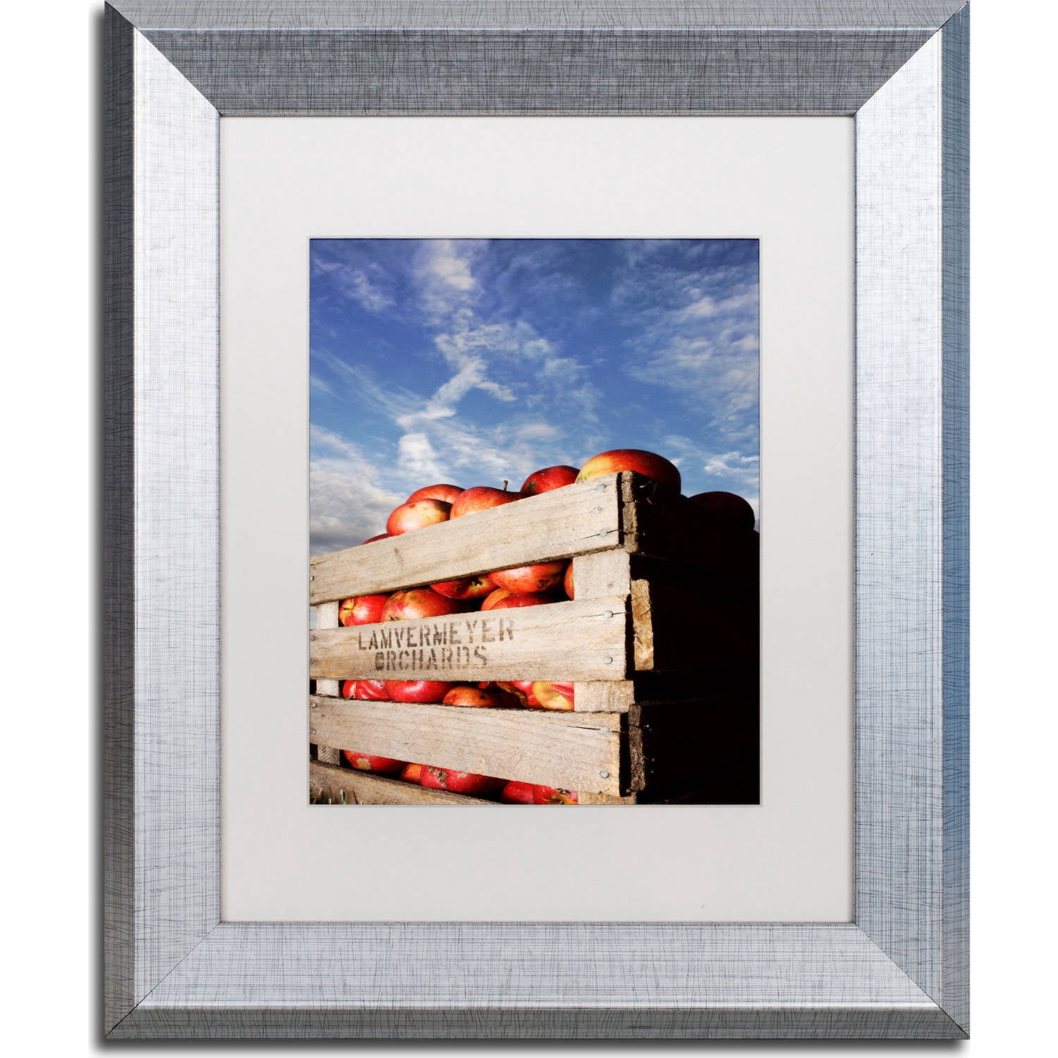 Trademark Fine Art "Orchard" Canvas Art by Jason Shaffer, White Matte, Silver Frame