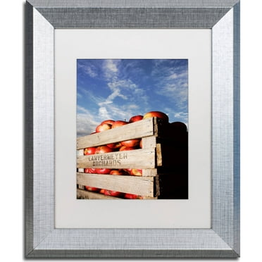 Trademark Fine Art "Orchard" Canvas Art by Jason Shaffer, White Matte, Silver Frame