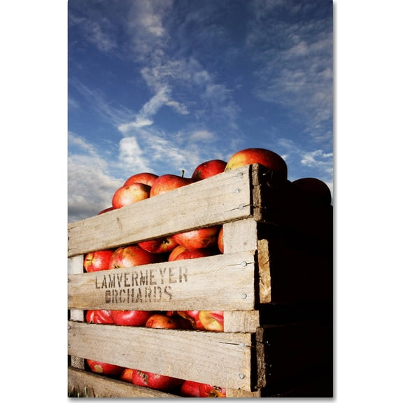 Trademark Fine Art "Orchard" Canvas Art by Jason Shaffer