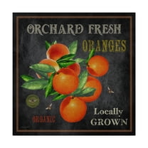Trademark Fine Art 'Orchard Fresh Oranges' Canvas Art by Jean Plout