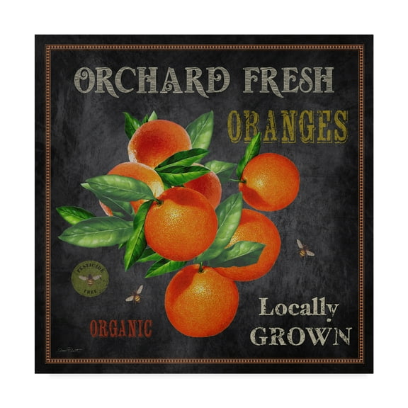Trademark Fine Art 'Orchard Fresh Oranges' Canvas Art by Jean Plout