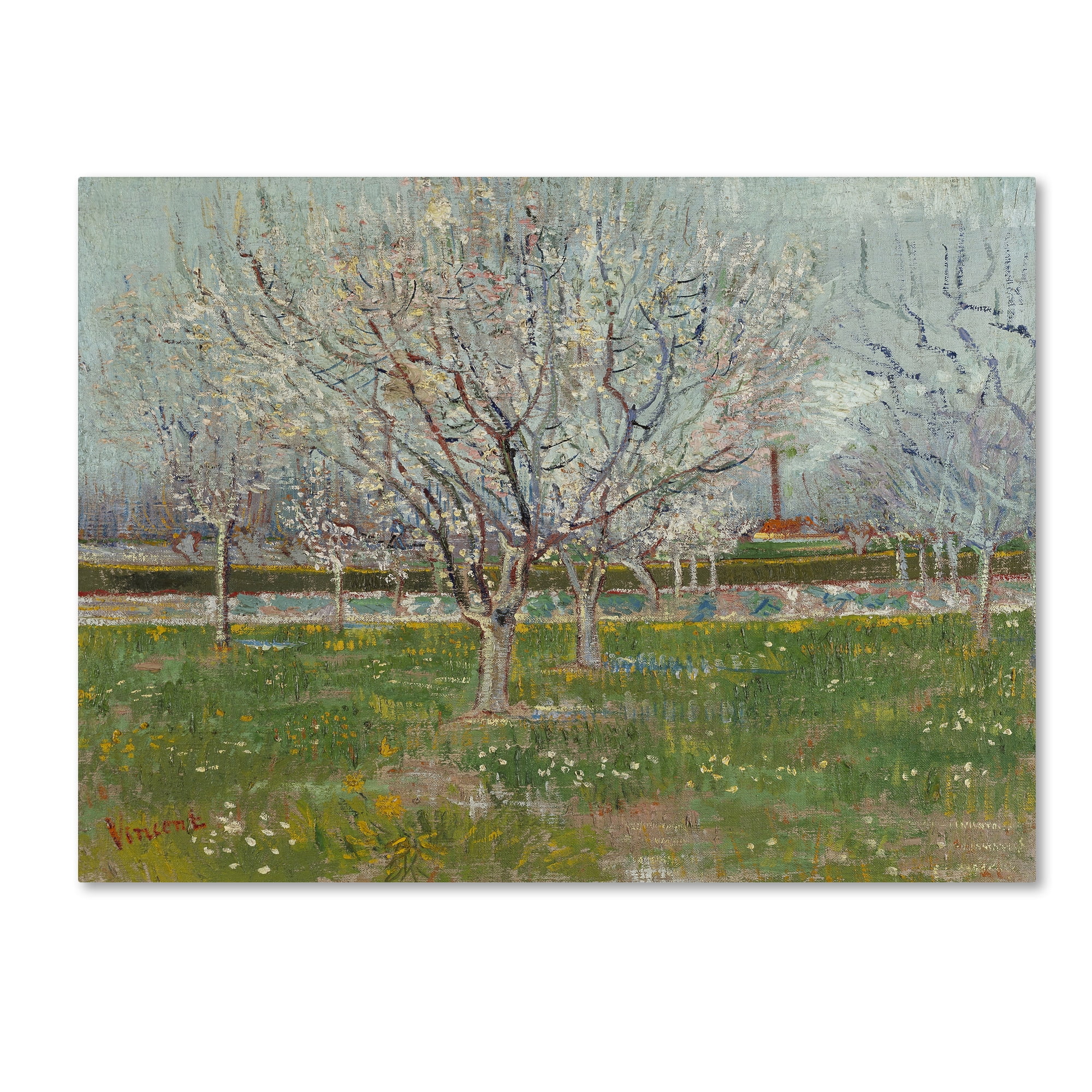 Trademark Fine Art 'Orchard In Blossom Plum Trees' Canvas Art by Van Gogh