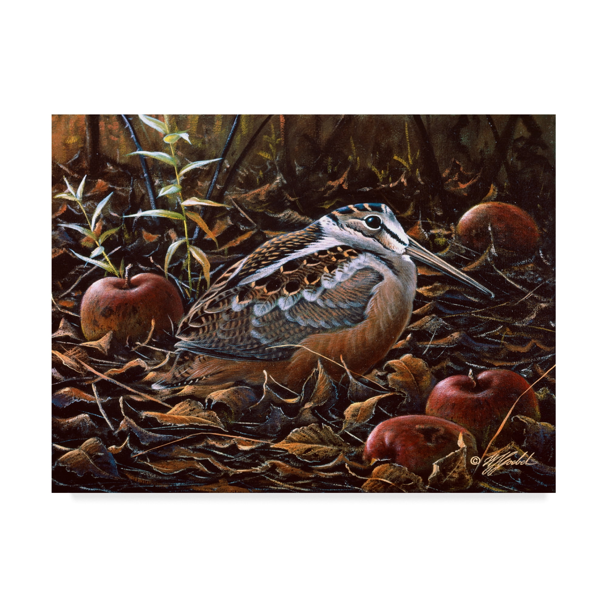 Trademark Fine Art 'Orchard Woodcock' Canvas Art by Wilhelm Goebel