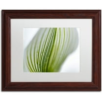 Trademark Fine Art "Orchid Abstract Blurred Lines" Canvas Art by Kurt Shaffer, White Matte, Wood Frame