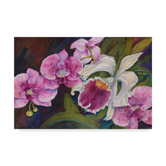 Trademark Fine Art 'Orchid' Canvas Art by Joanne Porter