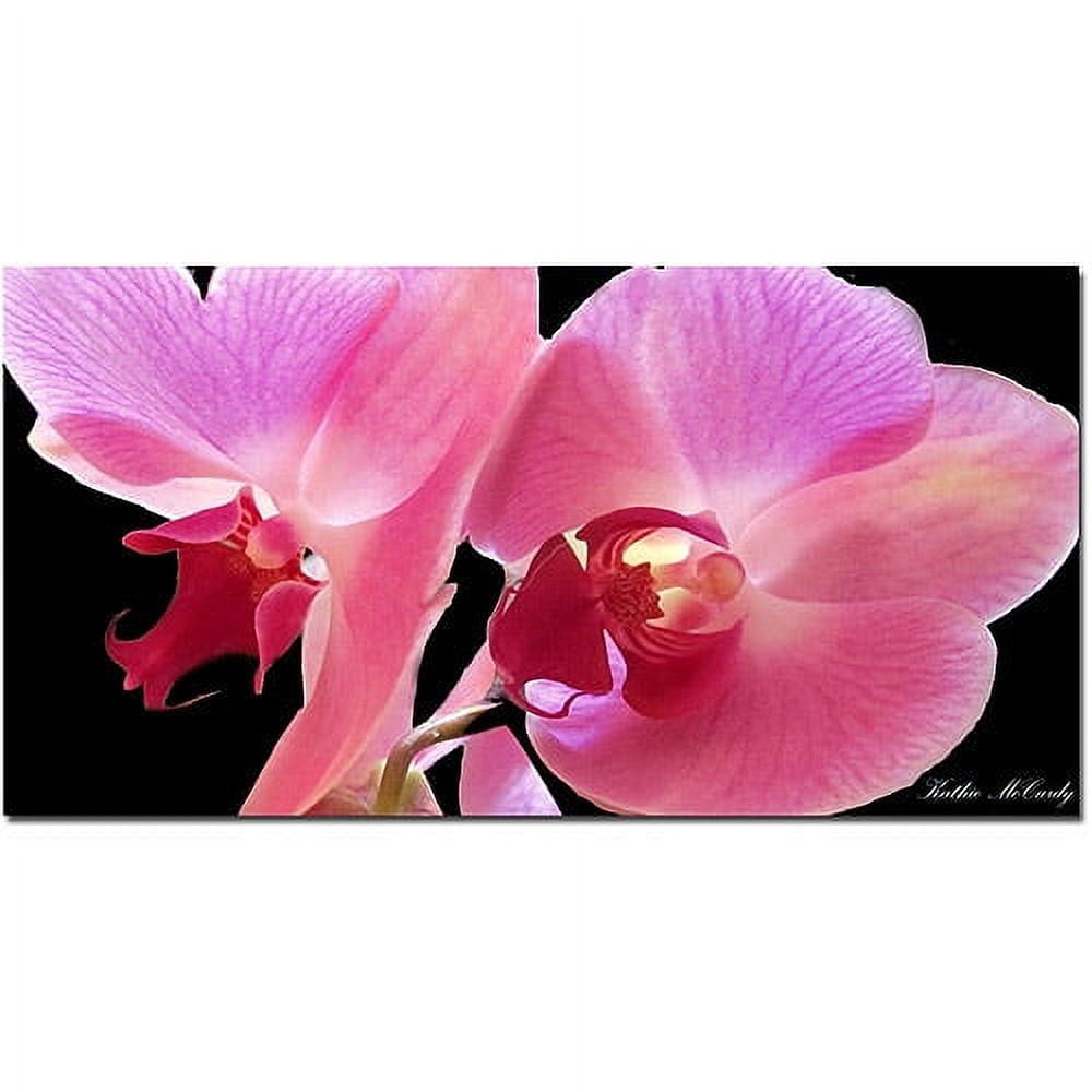 Trademark Fine Art "Orchid" Canvas Art by Kathie McCurdy