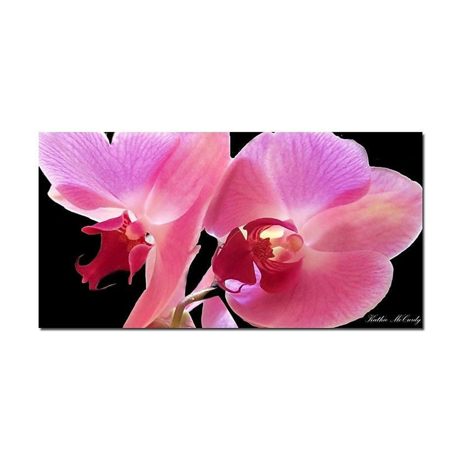 Trademark Fine Art "Orchid" Canvas Art by Kathie McCurdy