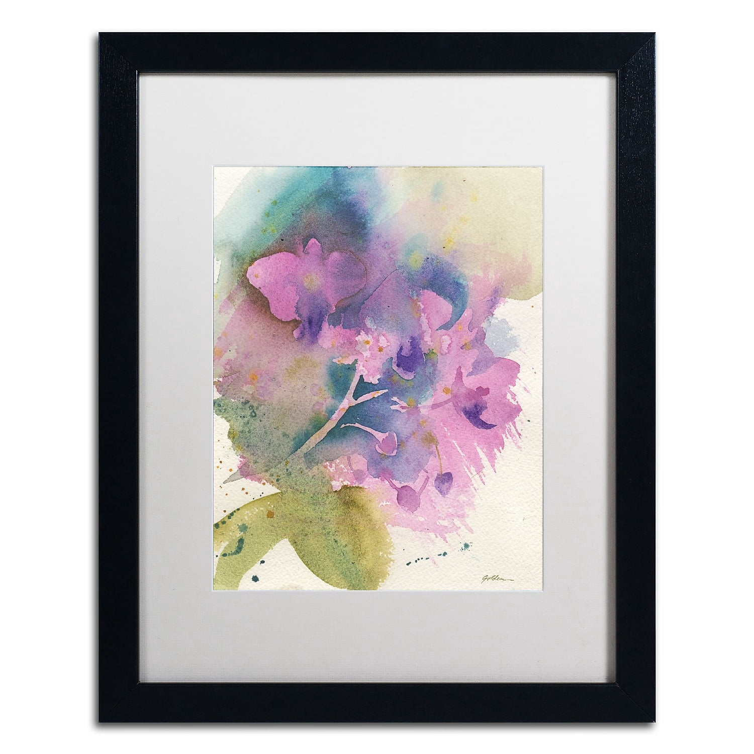 Trademark Fine Art "Orchid Dream" Canvas Art by Sheila Golden White Matte, Black Frame
