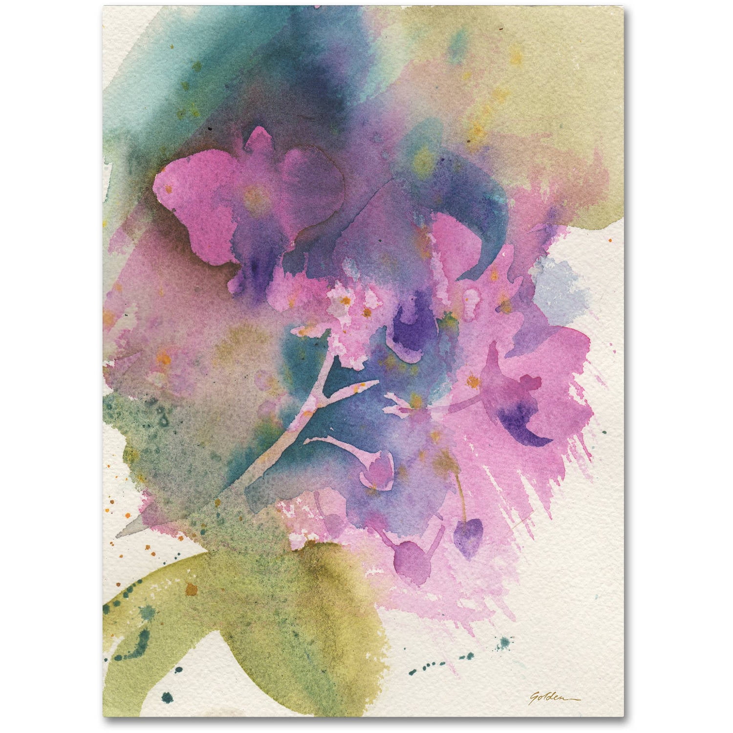 Trademark Fine Art "Orchid Dream" Canvas Art by Sheila Golden