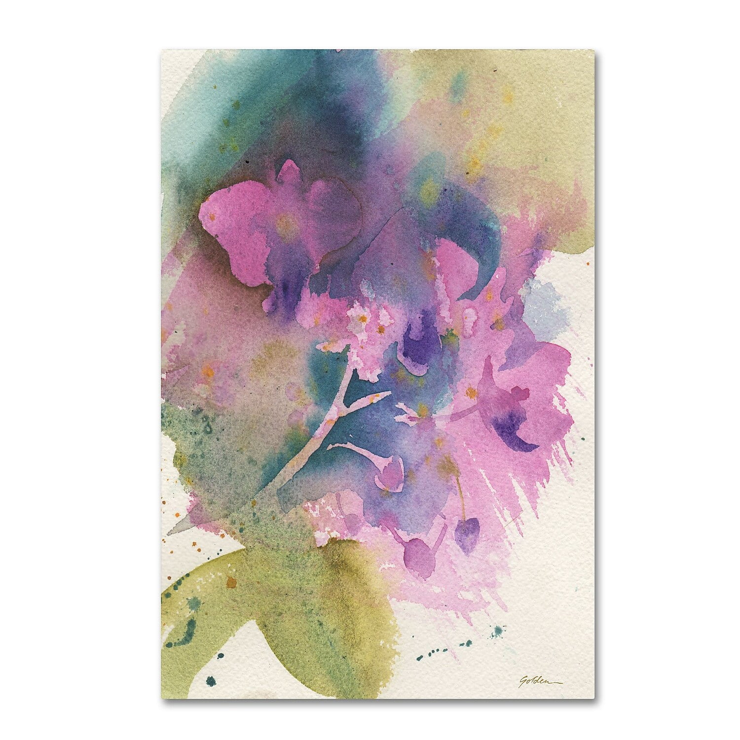 Trademark Fine Art "Orchid Dream" Canvas Art by Sheila Golden