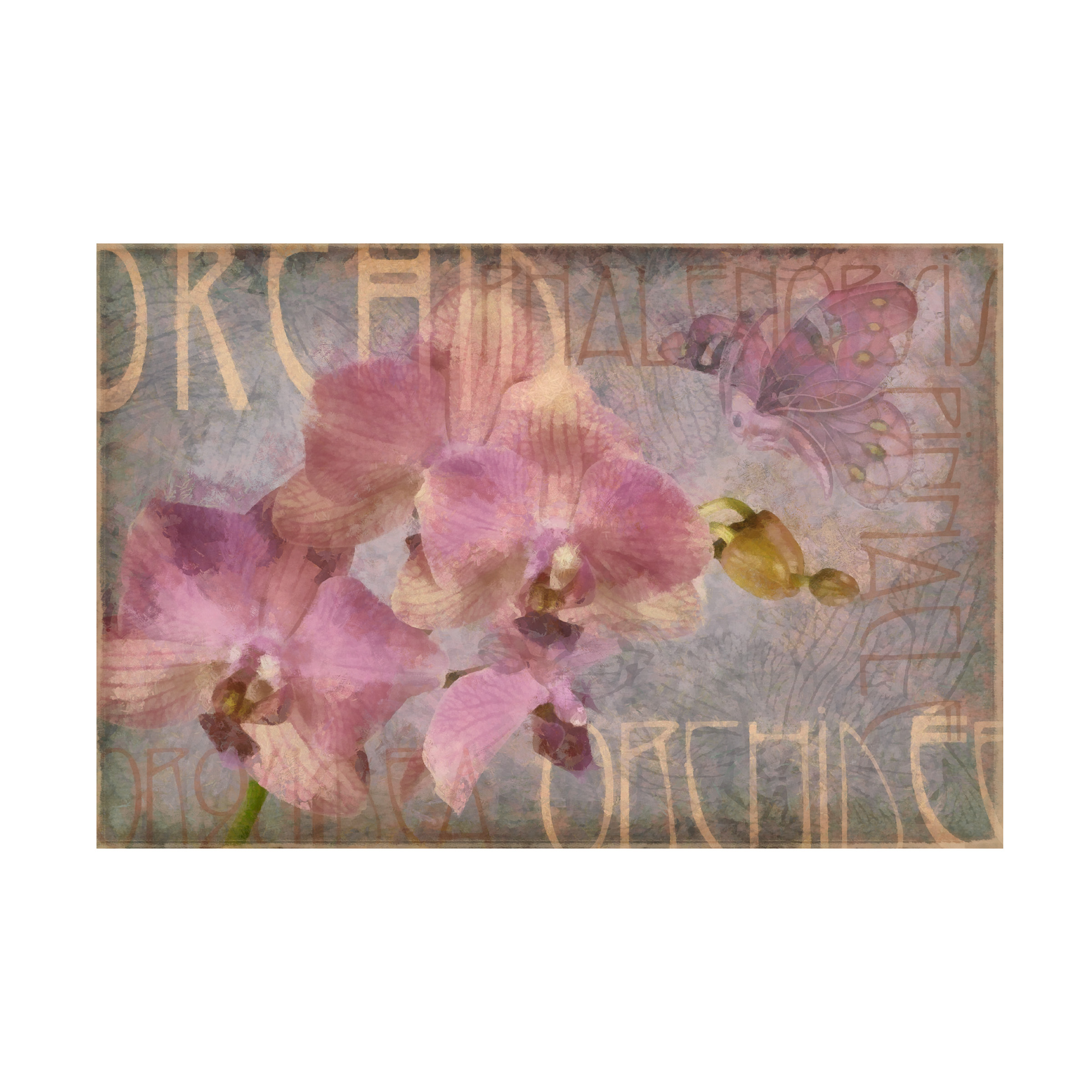 Trademark Fine Art 'Orchid I' Canvas Art by Cora Niele