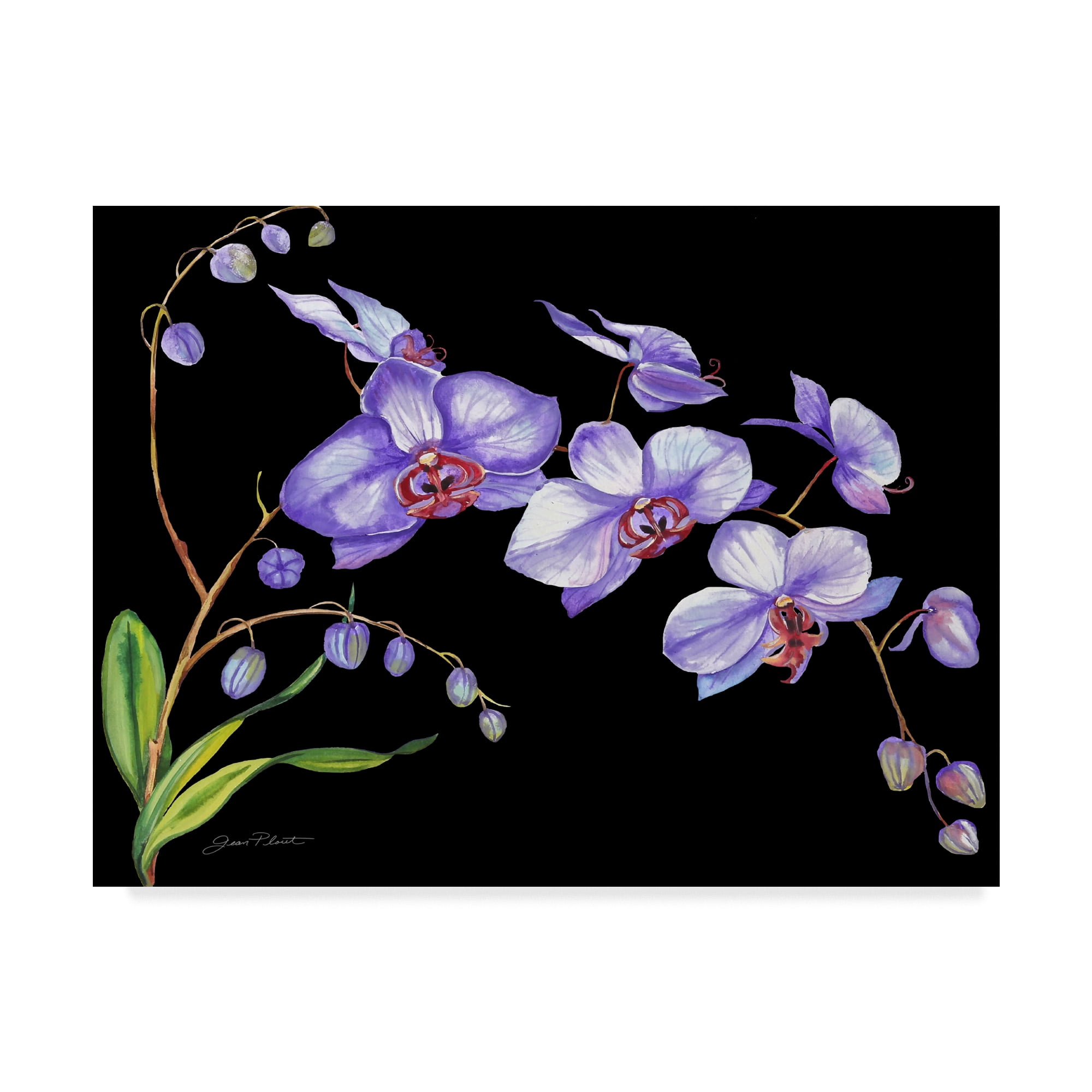 Large Purple Orchid Floral Canvas Art with Black Background