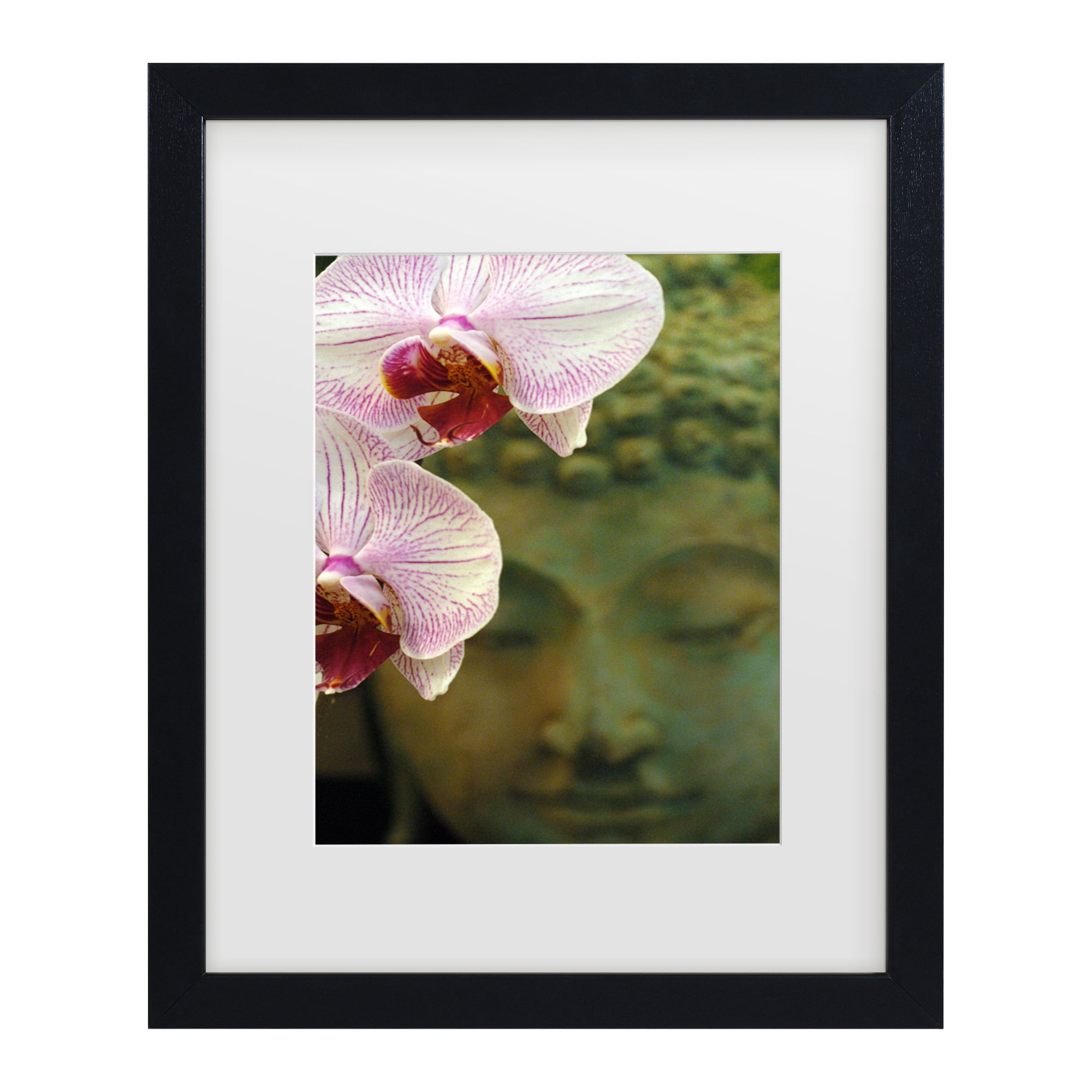 Trademark Fine Art 'Orchids and Buddha' Canvas Art by Kurt Shaffer