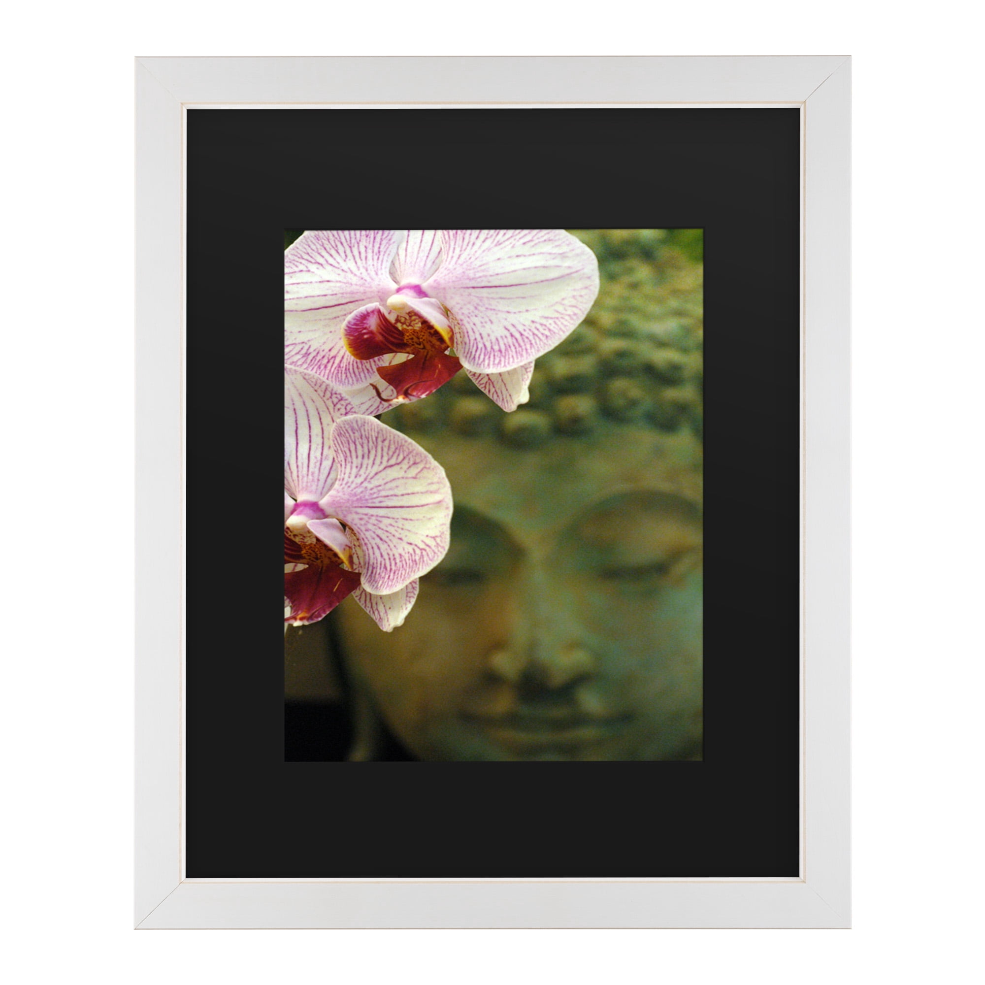 Trademark Fine Art 'Orchids and Buddha' Canvas Art by Kurt Shaffer