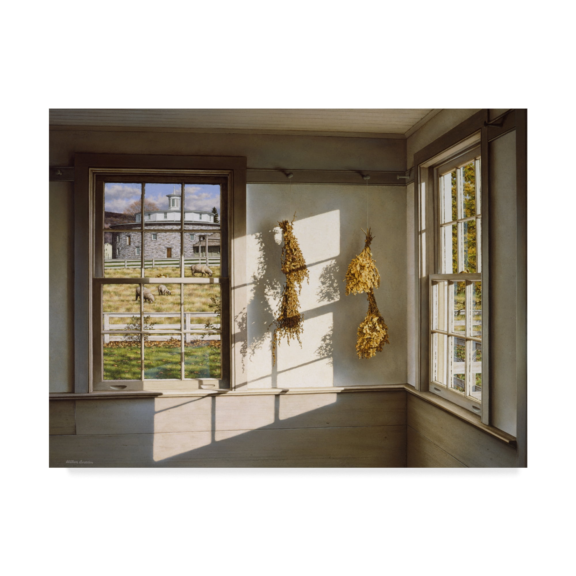 Trademark Fine Art 'Order And Light' Canvas Art by William Breedon