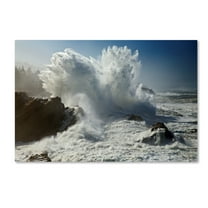 Trademark Fine Art 'Oregon Shore Acres SP Wave' Canvas Art by Mike Jones Photo