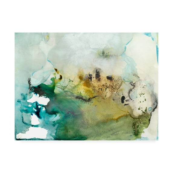 Trademark Fine Art 'Organic Abstract' Canvas Art by Lila Bramma